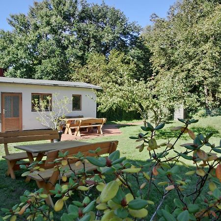 Strandstrasse 60 Ferienwohnung S12 Граал-Мюриц Екстериор снимка
